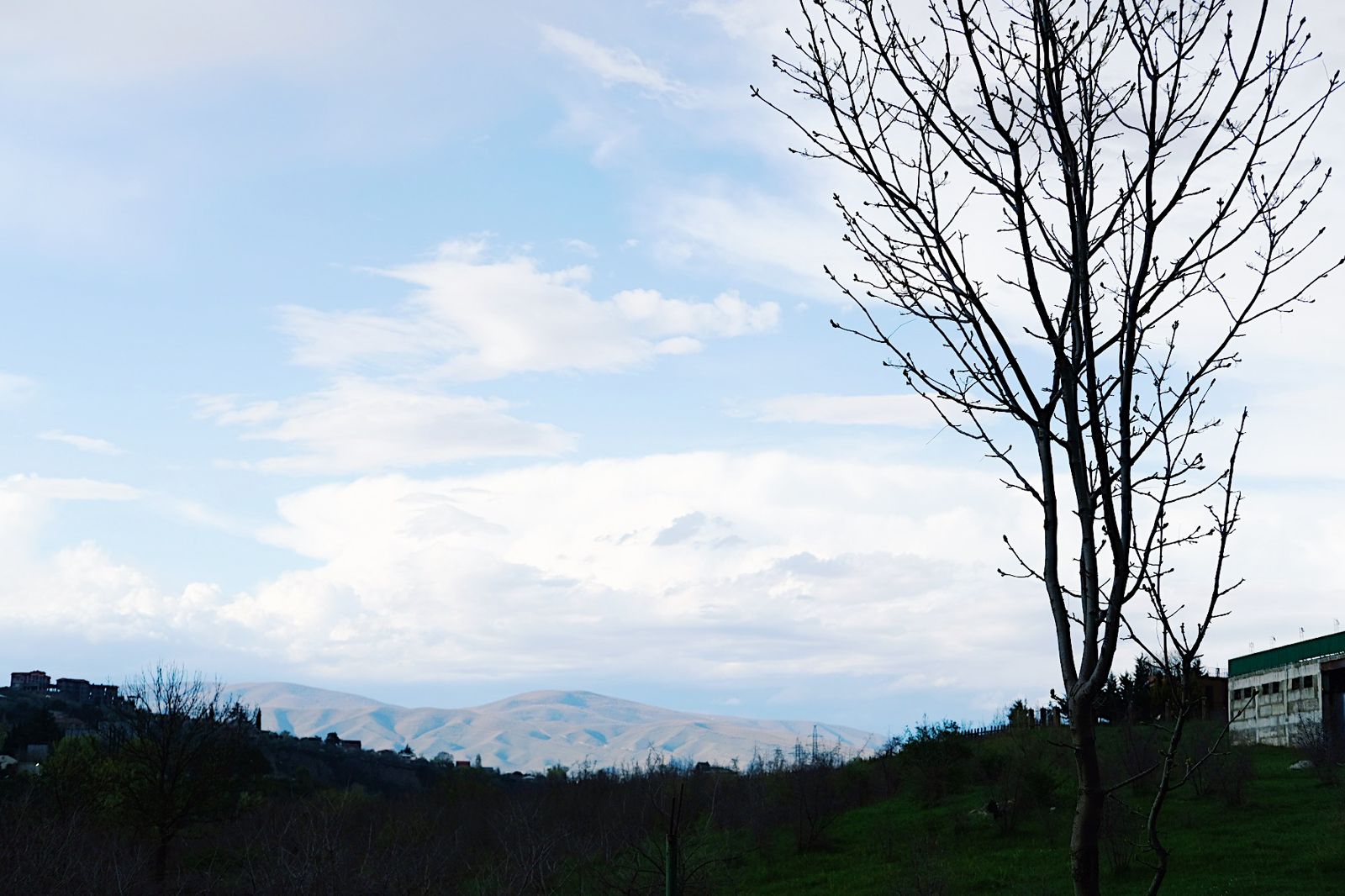Open view toward pale mountain ridges framed by a tree